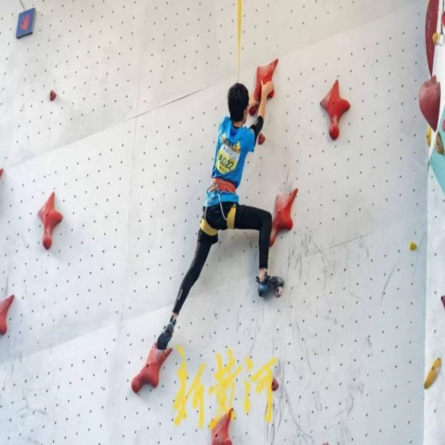 欧洲赛场晋级形势与战术解析：第238组关键战役前景